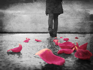 A wish on each petal.